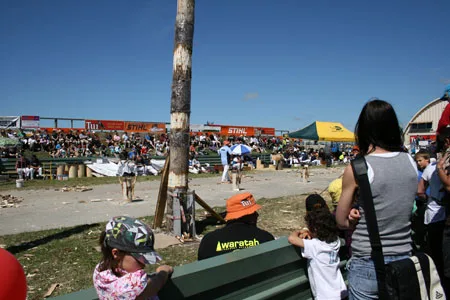 ユニークなイベント　ニュージーランド