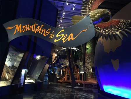 ウエリントンの観光