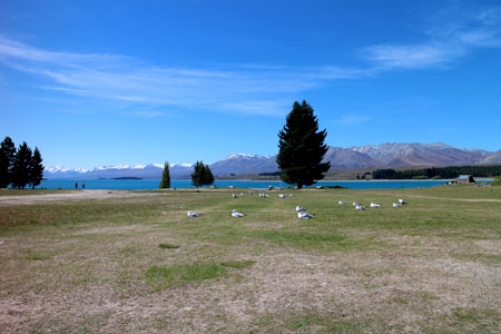 ニュージーランド　テカポ湖