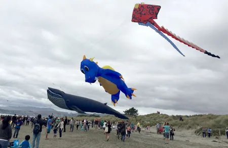 Christchurch Kite day