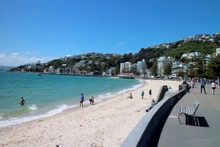 ウエリントンのビーチ