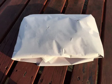 fish and chips new zealand