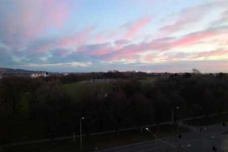 ニュージーランド　病院