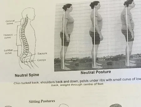 ニュージーランドで妊娠　英単語