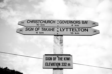 マタニティーフォト　ニュージーランド