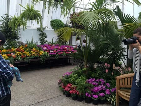 写真館　ニュージーランド