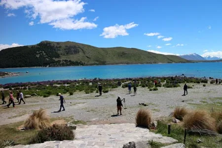 ニュージーランド　テカポ