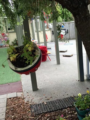 無料　ECE ニュージーランド