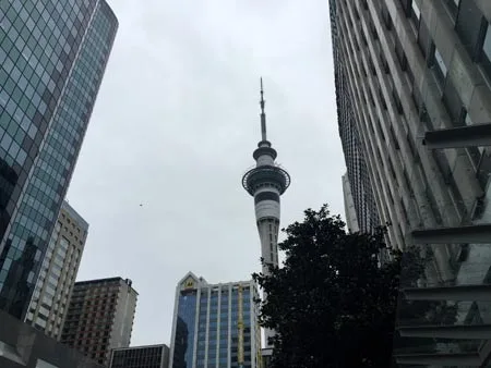 オークランド　仕事