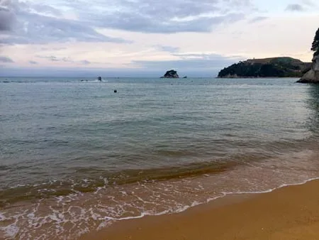 ニュージーランドのビーチで遊ぶ