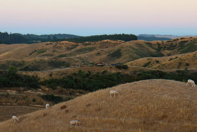 ニュージーランド