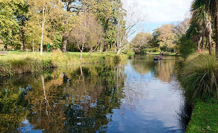 バイリンガル教育