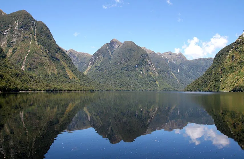 ニュージーランドの永住権