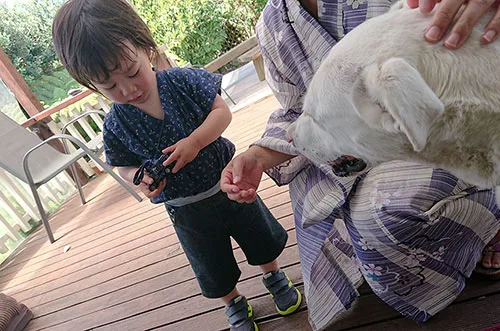 ニュージーランドの正月