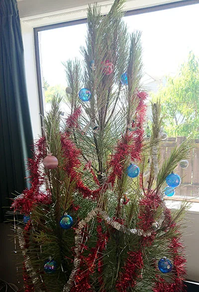 本物の木のクリスマスツリー