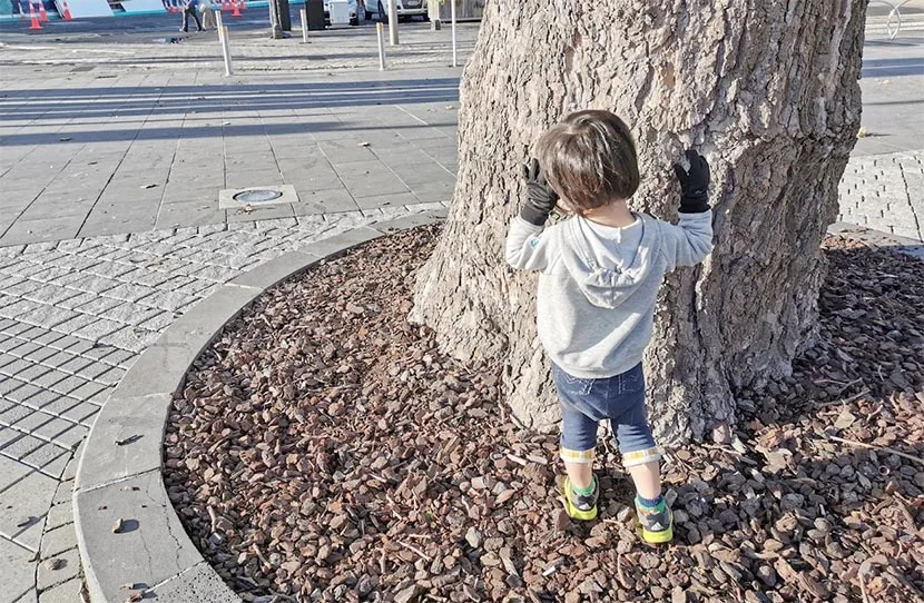 英語でかくれんぼ